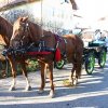 Blagoslov konj 2009 - 009